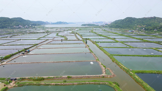 航拍視角下的淡水養(yǎng)殖全景 從大閘蟹到鱘魚，探秘千湖之色的生態(tài)漁業(yè)基地